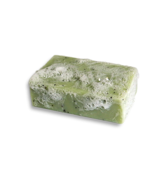 Savon à froid Le Gecko 100gr Clémence et Vivien | Aroma Beauté Lyon 4