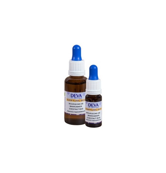 Bourgeons de marronnier Elixir floral Dr Bach 10ml Deva | Aroma Beauté