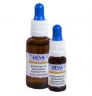 Bourgeons de marronnier Elixir floral Dr Bach 10ml Deva | Aroma Beauté