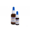 Centaurée Elixir floral du Dr Bach 10ml Deva | Aroma Beauté Lyon 4