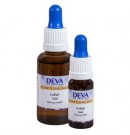 Chêne OAK Elixir floral du Dr Bach 10ml Deva | Aroma Beauté Lyon 4