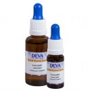 Chicorée Elixir floral du Dr Bach 10ml Deva | Aroma Beauté Lyon 4