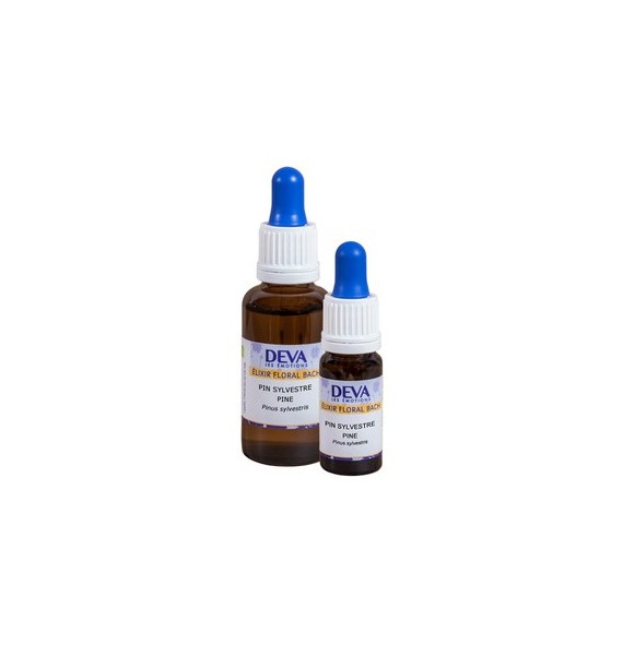 Pin sylvestre Elixir floral Dr Bach 10ml Deva | Aroma Beauté Lyon 4