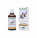 Phytothérapie Chardon-Marie 50ml Herbiolys | Aroma Beauté Lyon 4