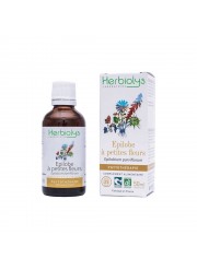 Phytothérapie Epilobe fleurs 50ml Herbiolys | Aroma Beauté Lyon 4