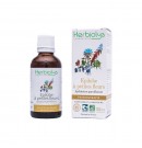 Phytothérapie Epilobe fleurs 50ml Herbiolys | Aroma Beauté Lyon 4