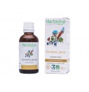 Phytothérapie Gentiane jaune 50ml Herbiolys | Aroma Beauté Lyon 4