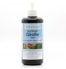 Eau florale Clou de Girofle 200ml Asterale | Aroma Beauté Lyon 4