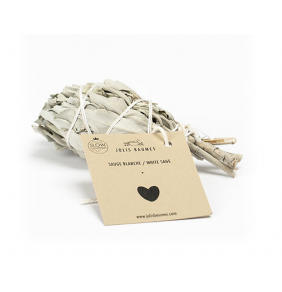 Sauge blanche de californie jolis baumes | Aroma Beauté Institut Lyon 4